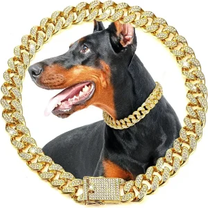 Dog Chain Collar For Small Medium Large Dogs