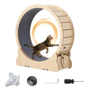 39.4 Inch Cat Exercise Wheel for Indoor Cats,
