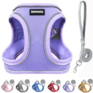 Medium Dog Harness and Leash Set,